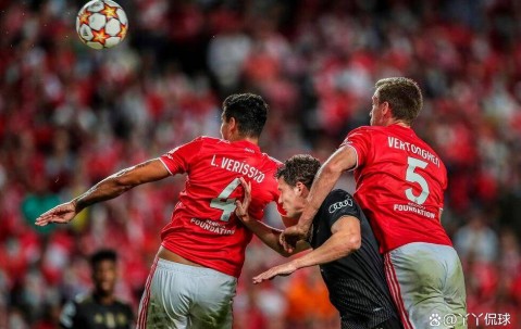 九游体育- 足总杯赛程吃紧，本菲卡窗口期战术微调，信心回归，医务组通报恢复