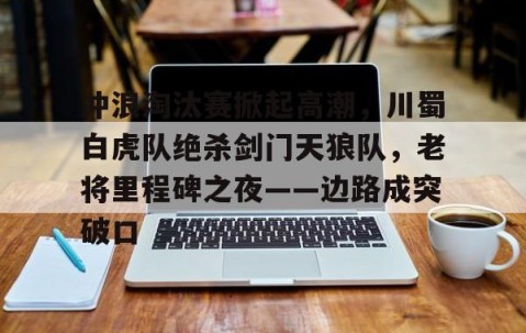 九游体育- 顺利进入冠军争夺战 